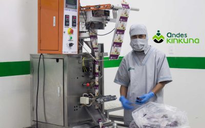 Andes Kinkuna Suplementos: Liderando la Vanguardia en Maquila de Suplementos y Vitaminas